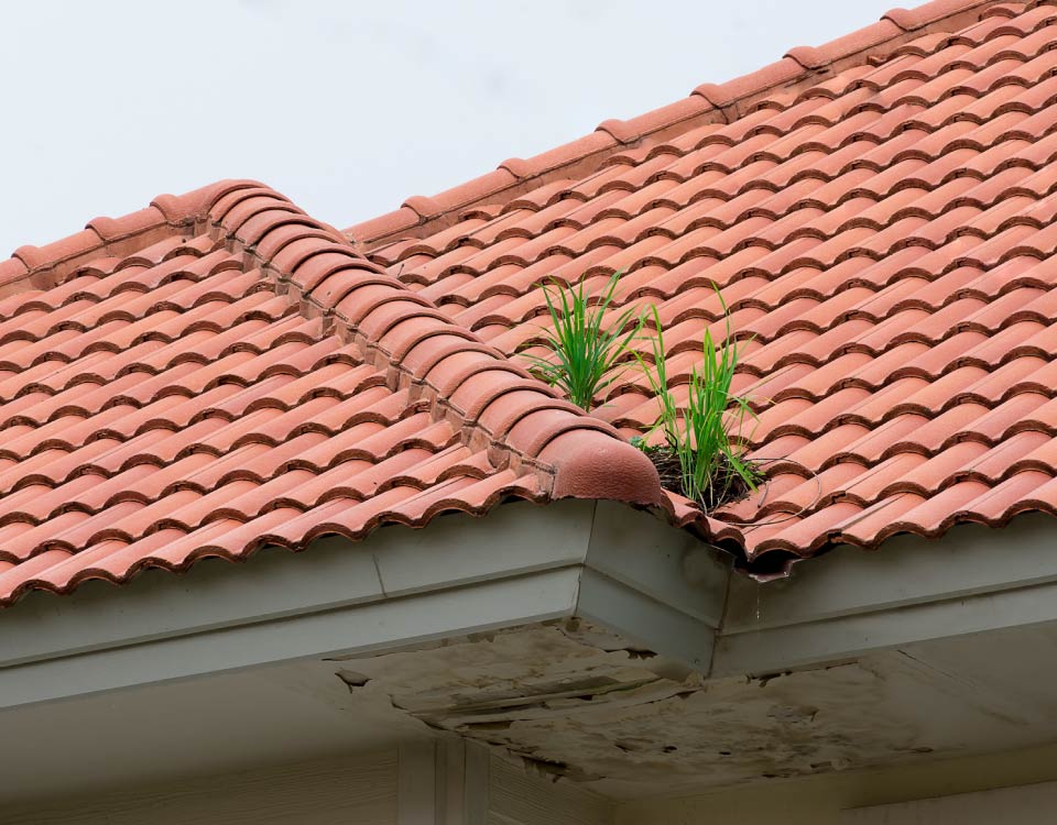 tlg roofing leak repair 1